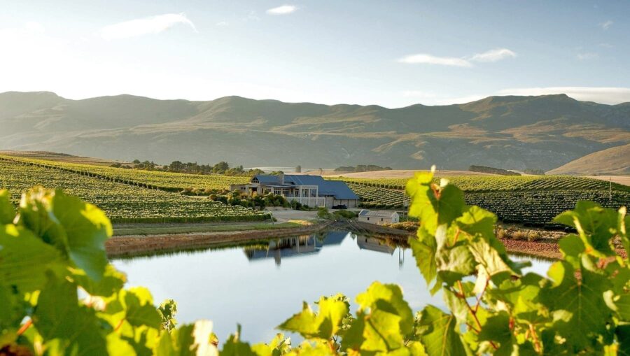 Creation – the heavenly place where fine wines and food are brought into being