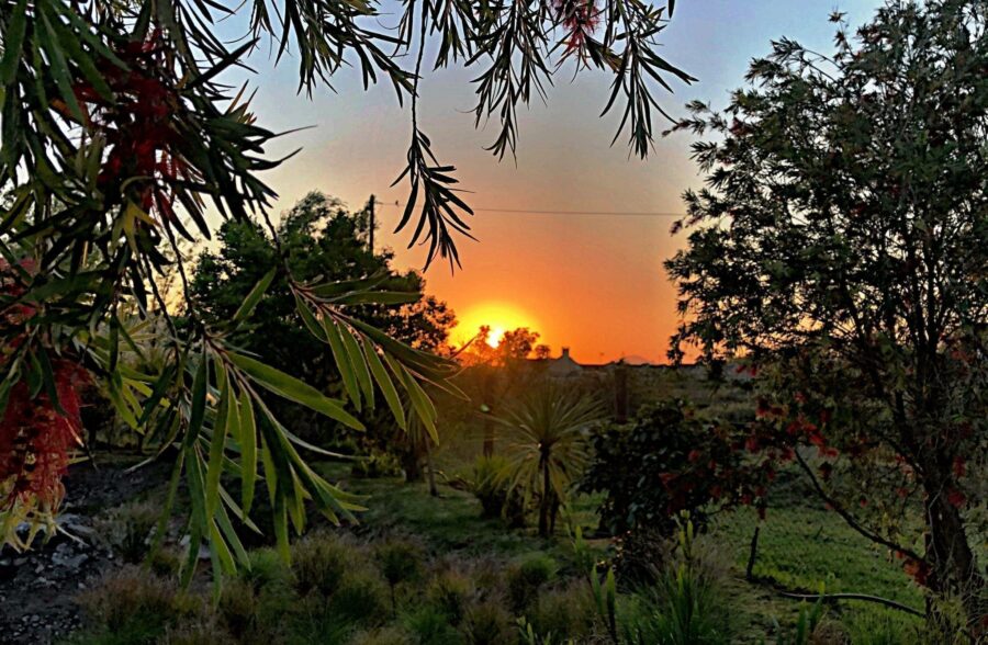 Immerse yourself in expressions of creativity at the annual Greyton Art Walk