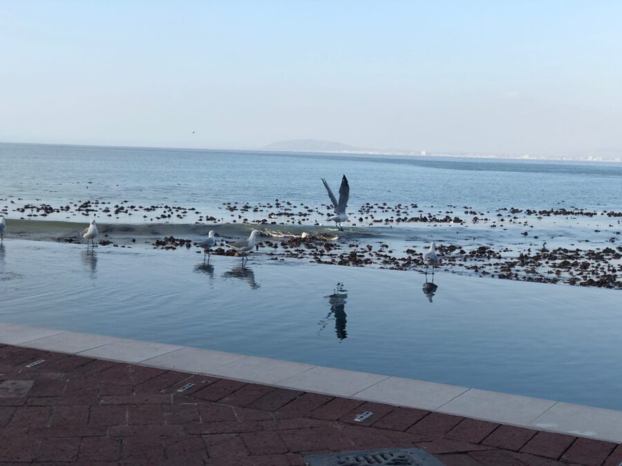 Take in views of the beautiful waters of the Atlantic Ocean and the private marina from the Radisson Blu Hotel Waterfront in Cape Town
