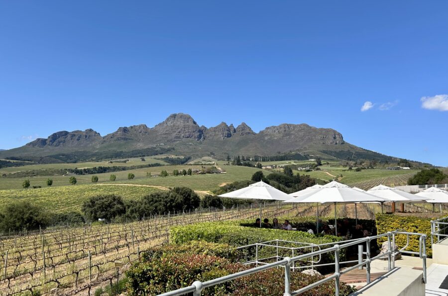 Guardian Peak’s weekday lunch special for Taste Stellenbosch